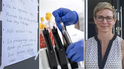 göra antikroppstest