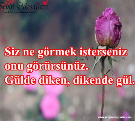 gül ile ilgili güzel sözler Sevgi Mesajları. 