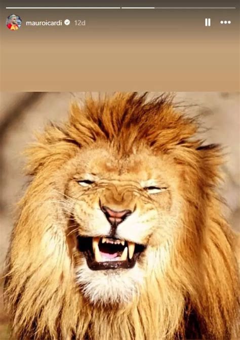 gülen aslan :D Dailymotion Video.