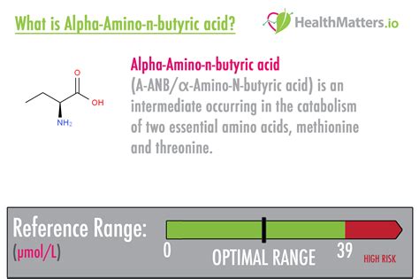 g-Aminobutyric Acid - Lab Results explained HealthMatters.io