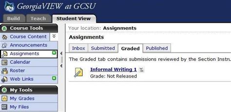 Ga View Gcsu