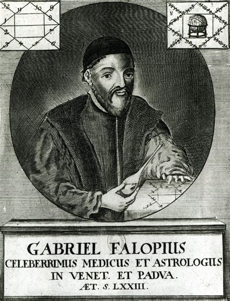 gabriel fallopius discoveries and inventions