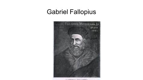 gabriel fallopius discoveries that changed
