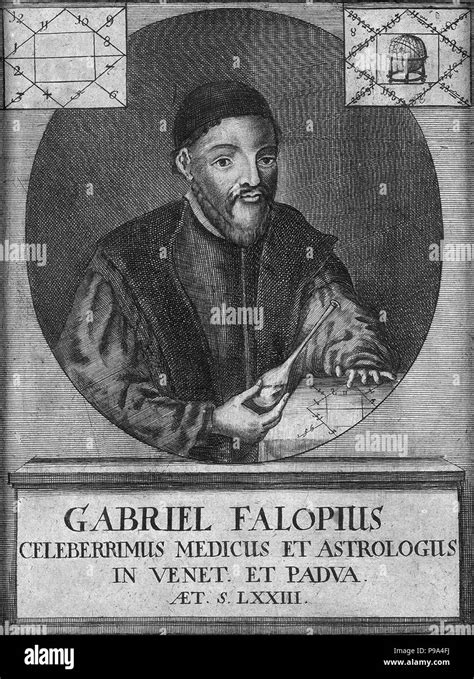 gabriele fallopius biography examples