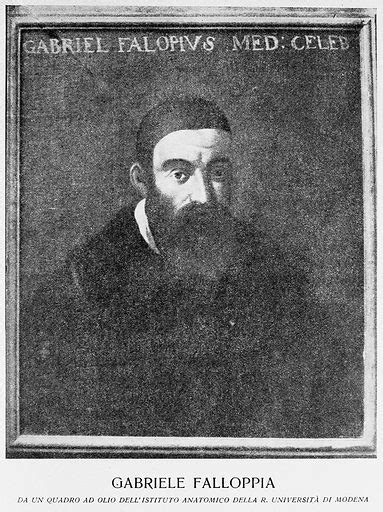 gabriele fallopius biography of william