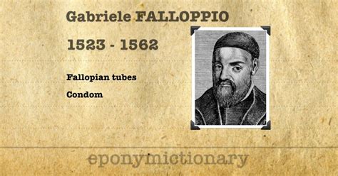 gabriele falloppio biography summary page