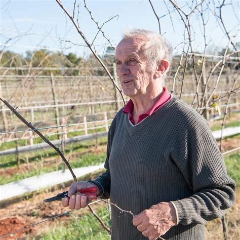 gabriele rausse wiki