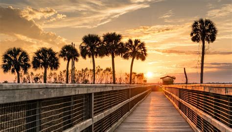 gainesville florida