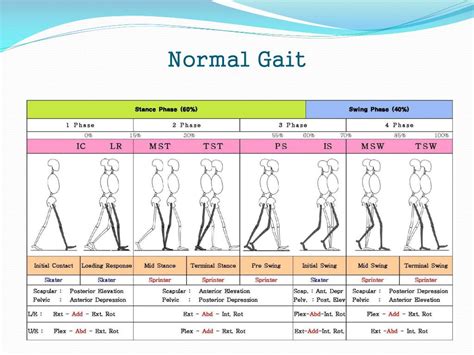 Gait Analysis Normal And Pathological Function