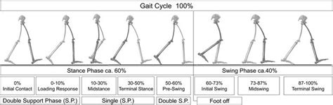 Gait Analysis Perry