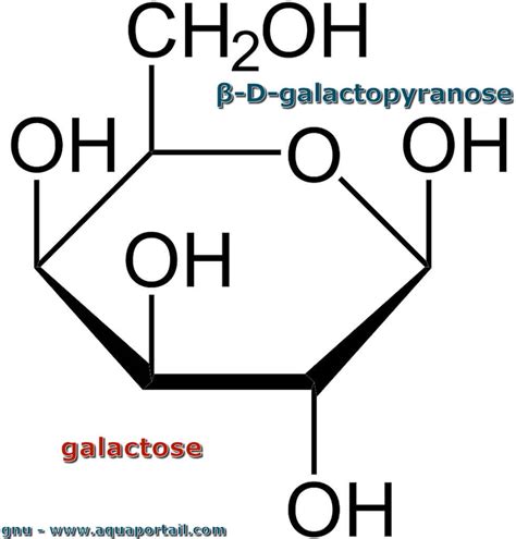 galactose-1