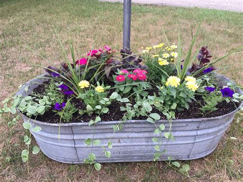Galvanized Tubs For Plants