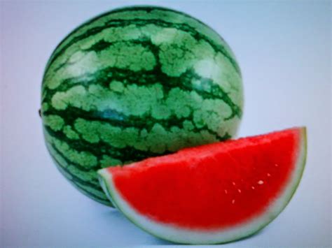 gambar buah semangka