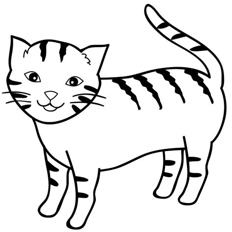 gambar kucing hitam putih