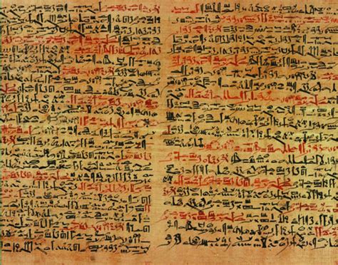 gambar serat papyrus