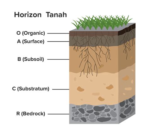 gambar struktur tanah