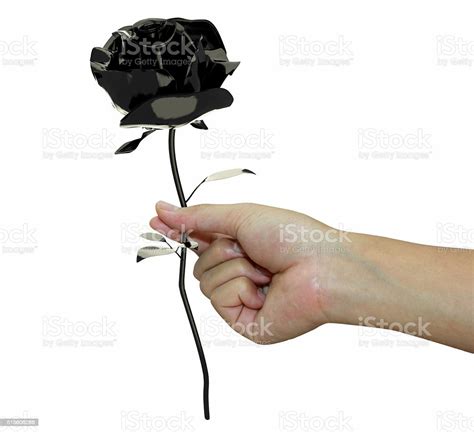 gambar tangan memegang bunga mawar hitam
