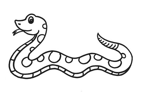 gambar ular untuk mewarnai