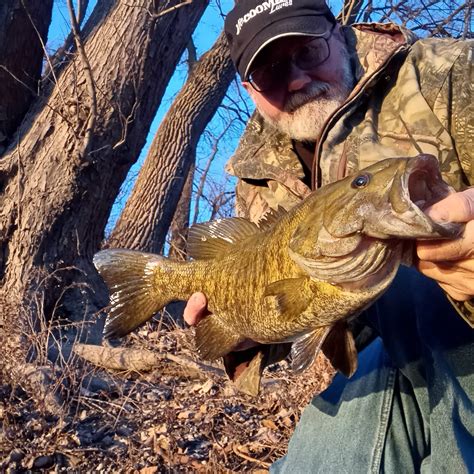 game fish ohio