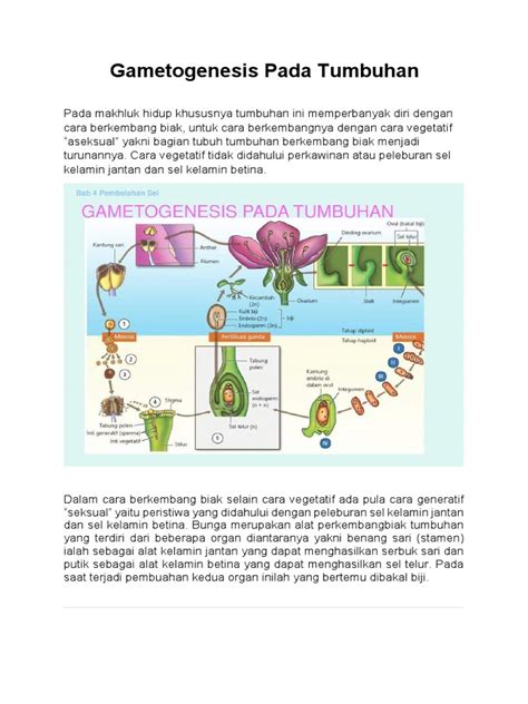gametogenesis pada tumbuhan pdf