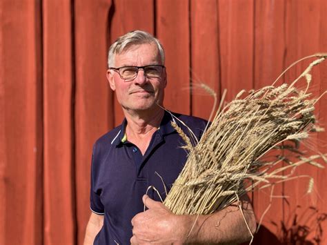 gamla spannmålssorter