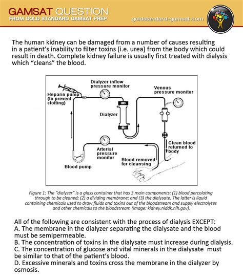 Gamsat Sample Questions