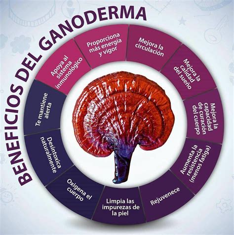 ganoderma lucidum beneficios pdf