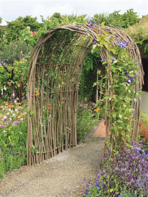 garden arch plants
