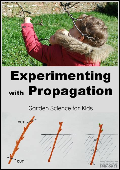 Garden Science Experiments With Propagation The Educatorsu0027 Spin Garden Science Experiments - Garden Science Experiments