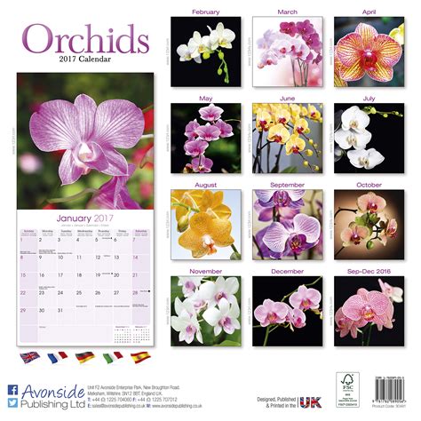 Read Online Garden Calendar Flower Calendar Orchids Calendar Calendars 2017 2018 Wall Calendars Orchids 16 Month Wall Calendar By Avonside 