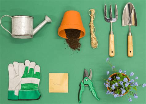 Gardening Tools Craft Supplies Amp Sewing Scissors Fiskars Paper Cutting Craft For Kids - Paper Cutting Craft For Kids