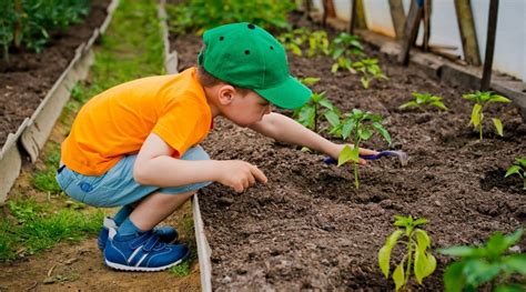 Gardening With Children Tips Tricks And Benefits To Kindergarten Gardening - Kindergarten Gardening