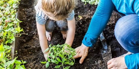 Full Download Gardening With Young Children Early Years 