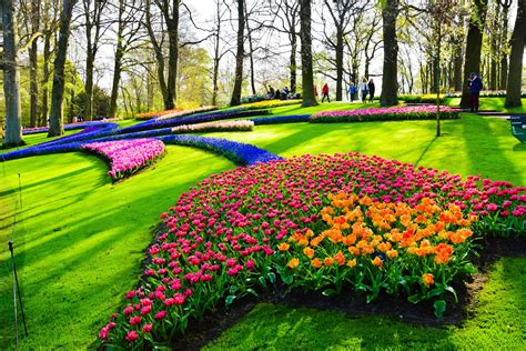 Gardens Of Time