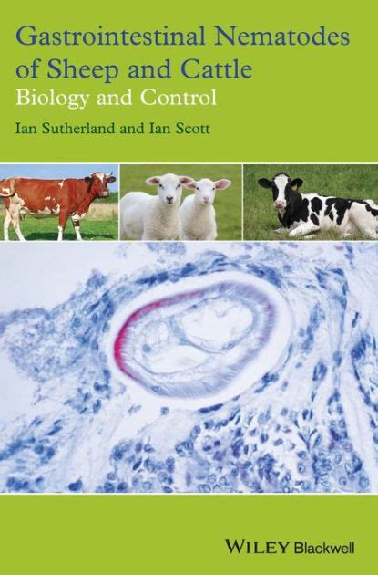 Read Gastrointestinal Nematodes Of Sheep And Cattle Biology 