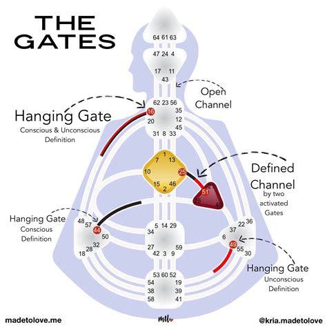 gate 8 human design