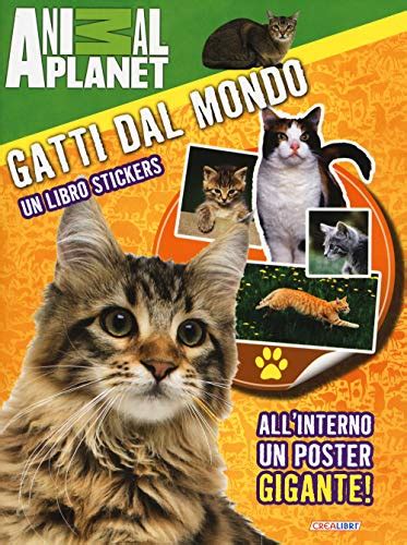 Read Online Gatti Dal Mondo Un Libro Stickers Ediz Illustrata 