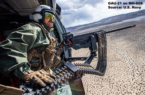Gau 21
