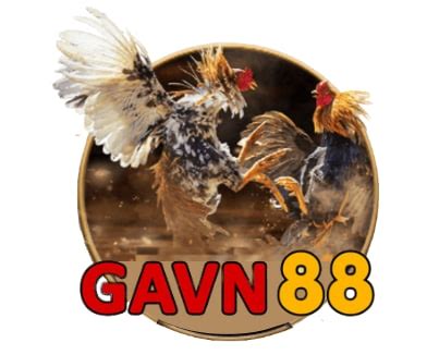 gavn88 | VN88 u Trng Thomo G Trc Tip