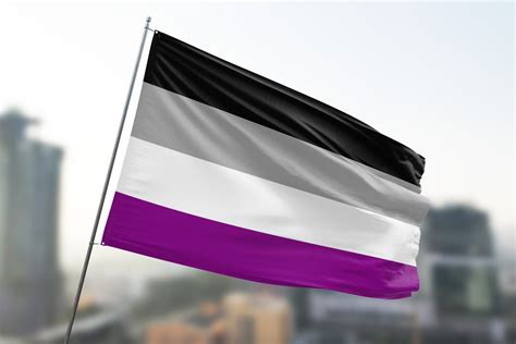 gay asexual flag