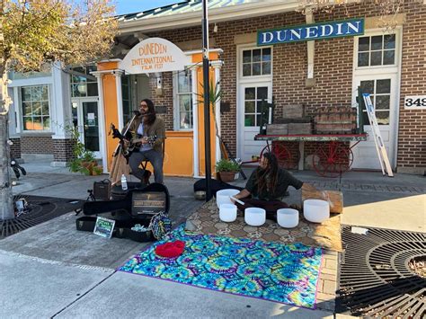 gay dunedin