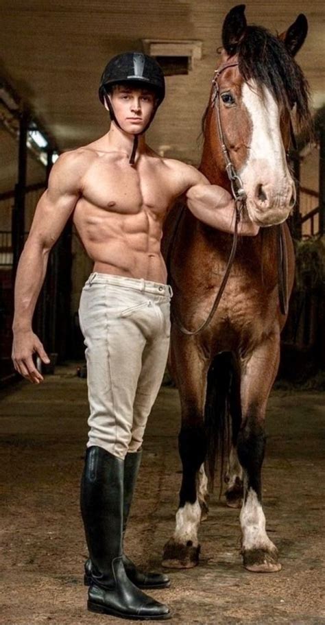 gay horse compilation