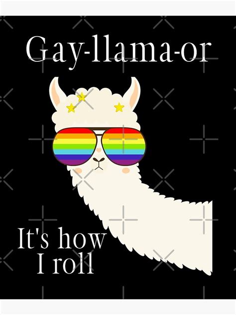 gay llamas