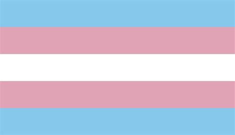 gay pink flag
