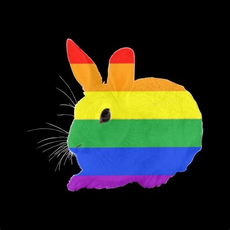 Gay porn rabbit
