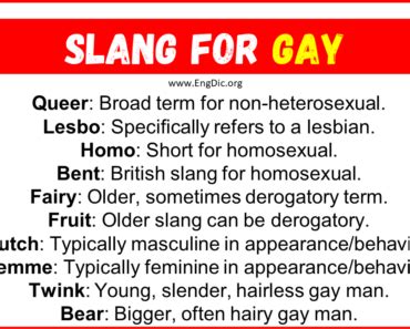 gay slang cd