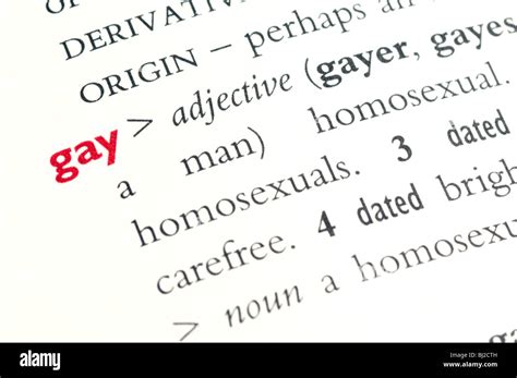 gayer definition