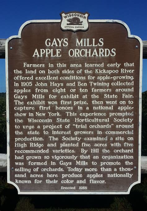 gays mills apples
