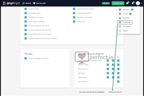 gaystryst delete account