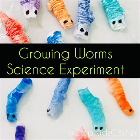 Gcfl Net Mobile Edition Worm Science Worm Science Experiment - Worm Science Experiment